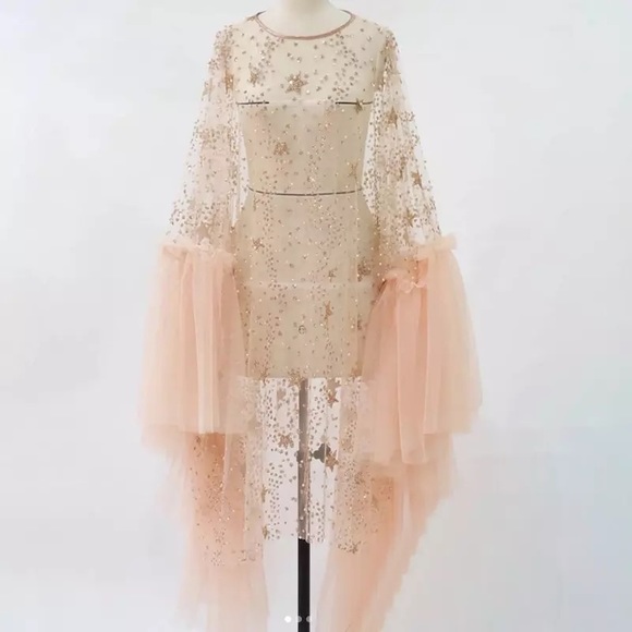 Glow Lux Appliqué Tulle Tunic Dress W/Butterfly Sleeves In Gold - Picture 5 of 6